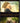 Zookeeper's Wife, the