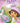 Dora - Dora's paas avontuur