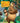 Jungle book - De tv serie deel 1 (1 & 2)