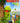 Kermit's swamp years