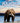 Amur