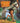 Jungle book - De tv serie 3 & 4