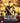 King Naresuan