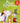Niels Holgerson 2 pack
