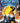 Pixels