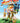What's up - Gered door de ballon