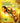 Muppets' Wizard of Oz